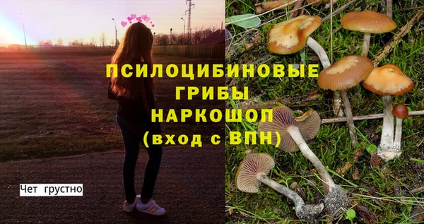 спайс Горняк