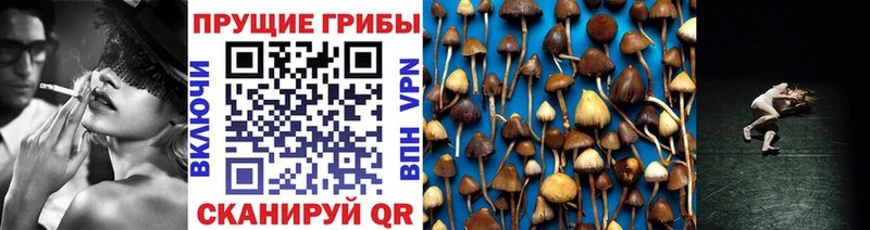 Галлюциногенные грибы Psilocybine cubensis  кракен зеркало  Одинцово 